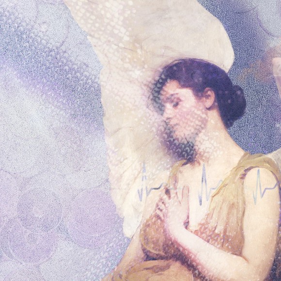 Meet your Posher, Abigail - Picture 1 of 1